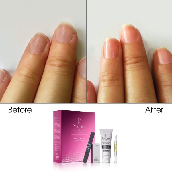 Coconut and Honey 4-Piece Luxury Manicure Set - Image 3